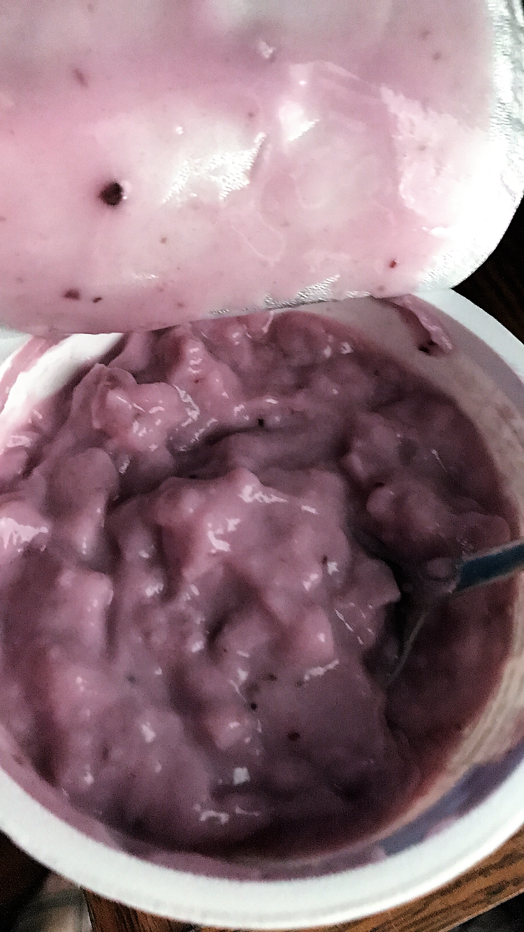 So Delicious Blueberry yogurt alternative