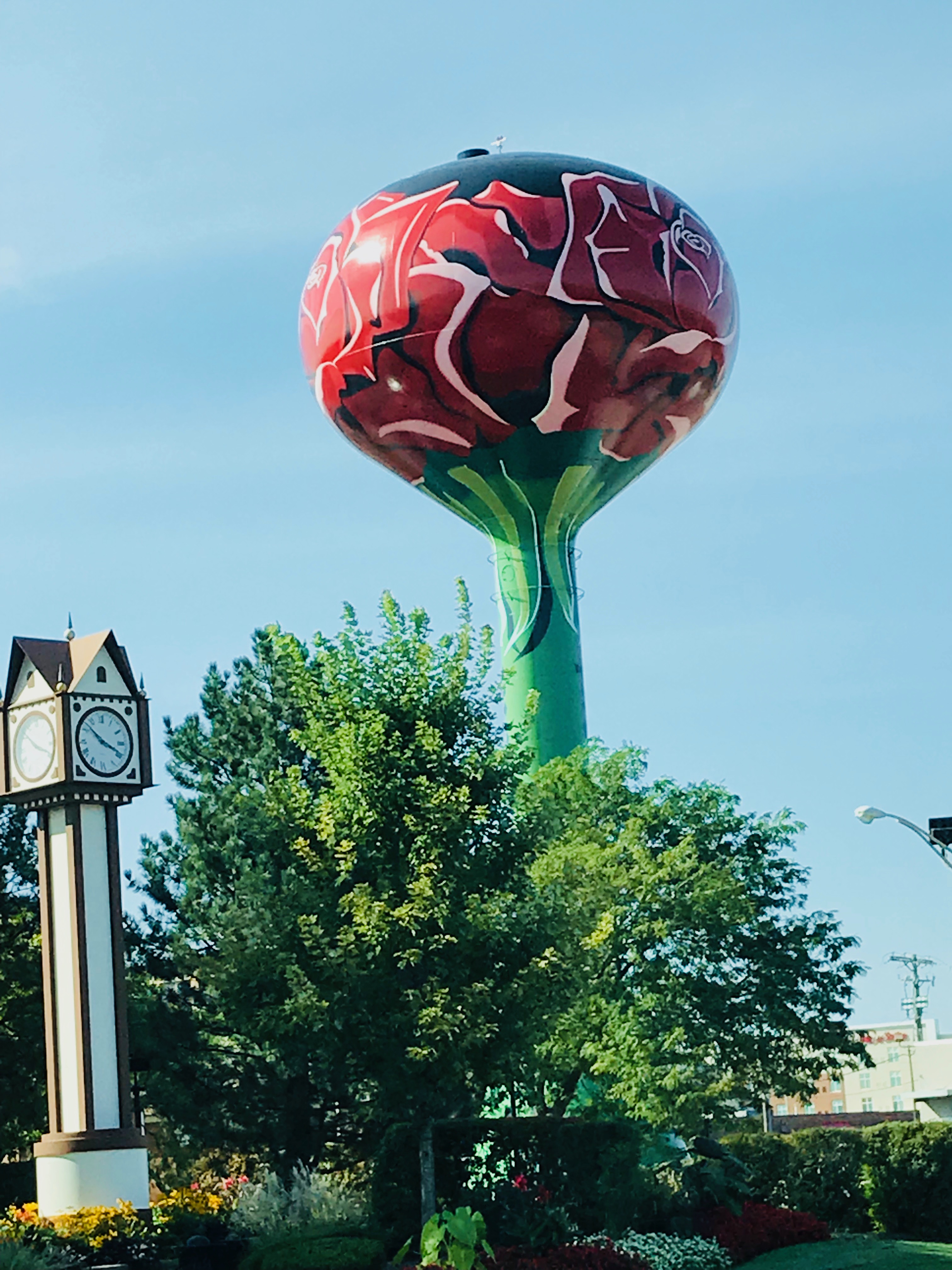 Rosemont Water tower