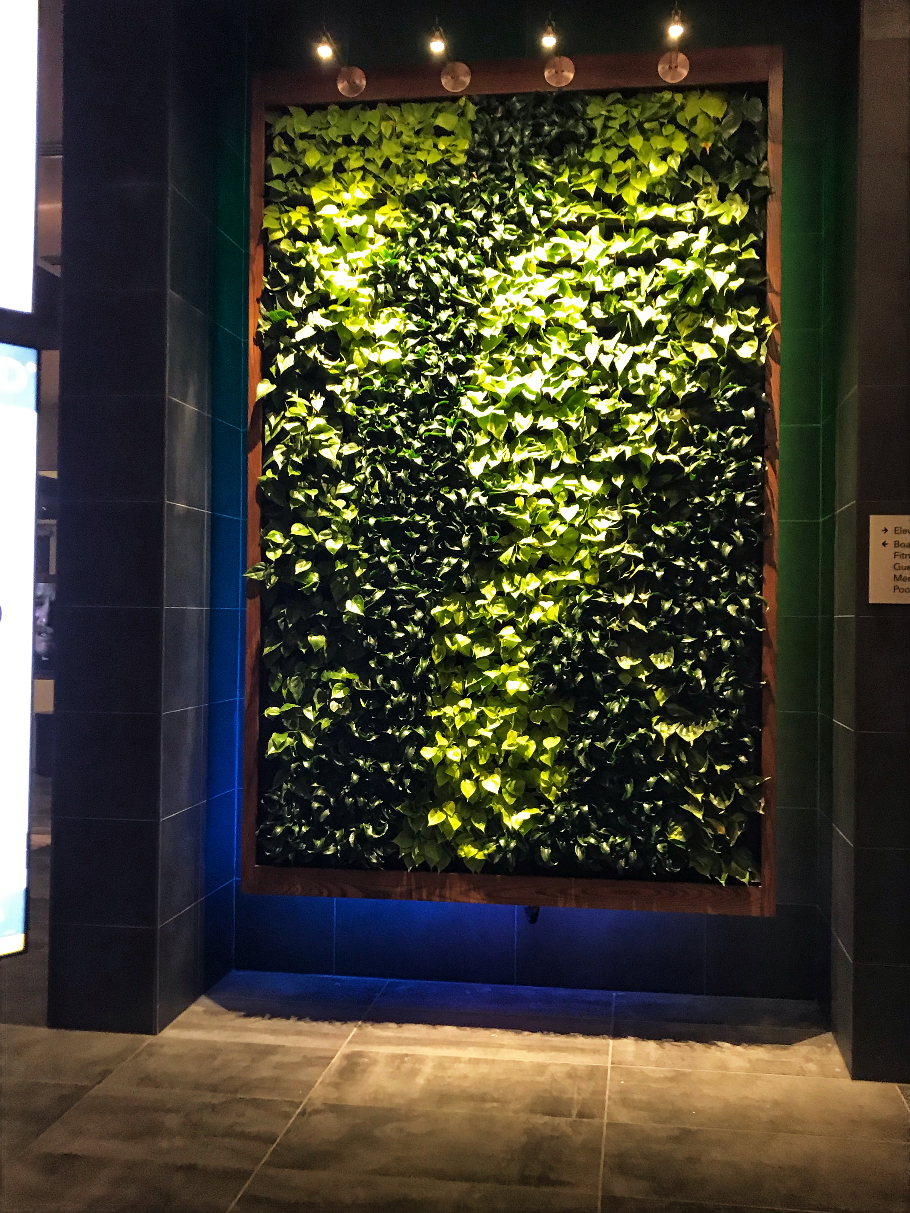 Leaf Wall at the Courtyard by Marriott